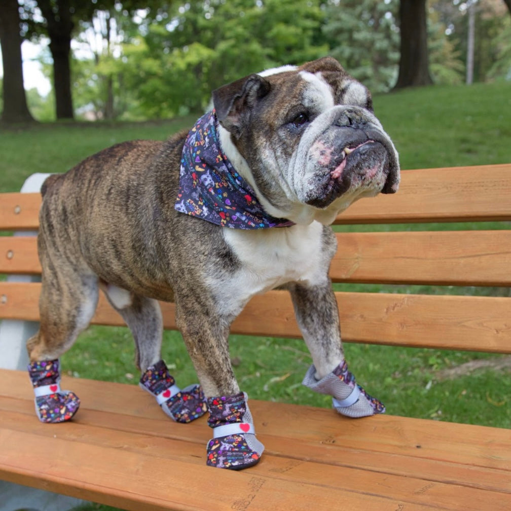 English shop bulldog booties