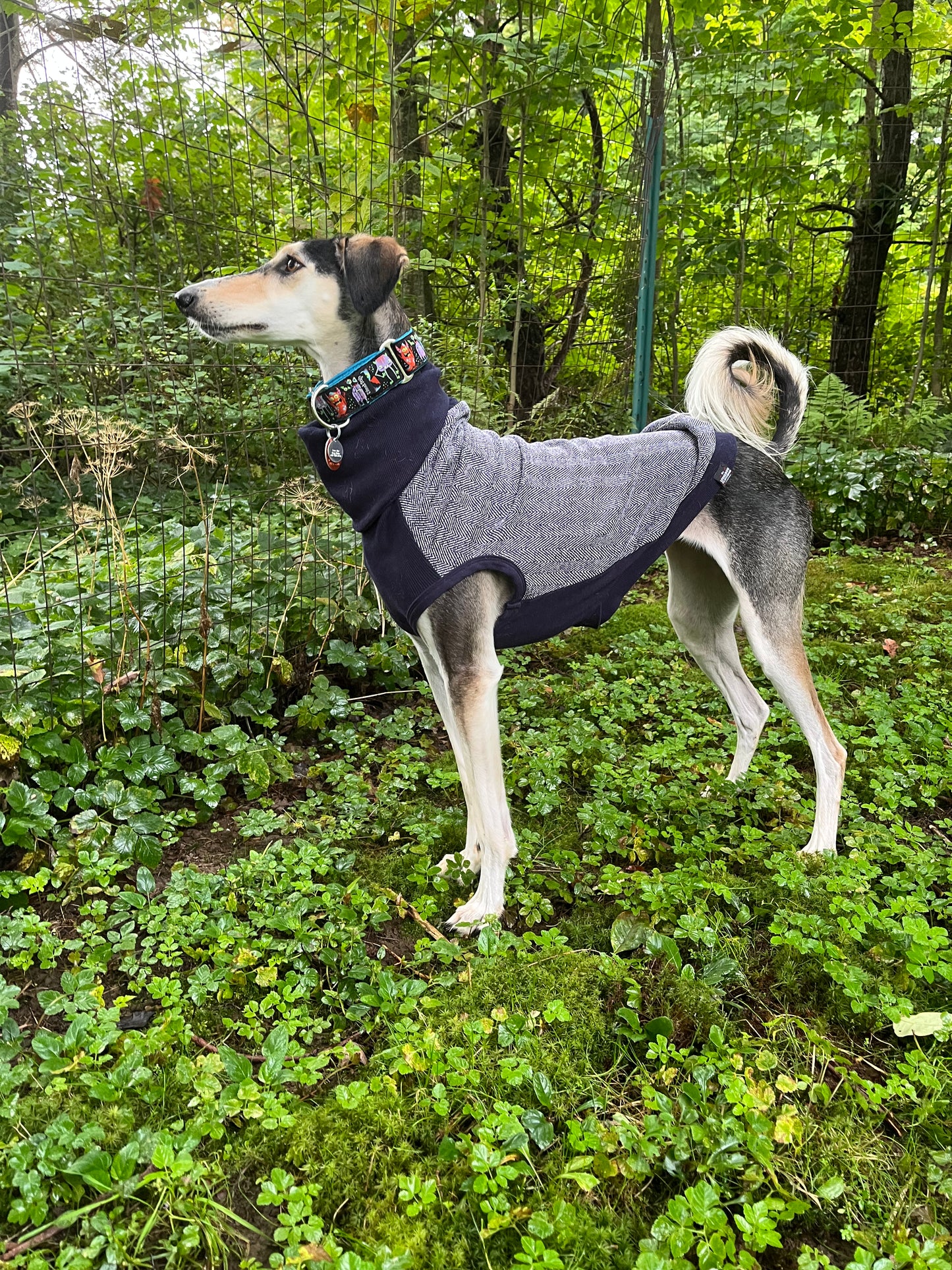 Long Dog Clothing George Turtleneck