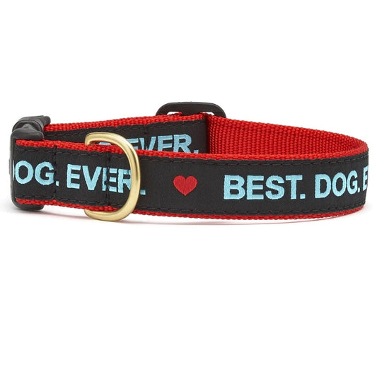 Up Country Best Dog Ever Collar